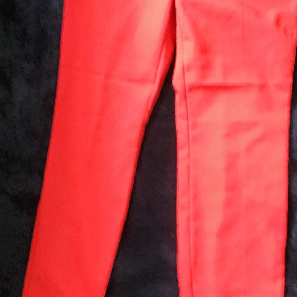 Express pants